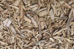 biomass boilers Lidgate